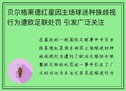 贝尔格莱德红星因主场球迷种族歧视行为遭欧足联处罚 引发广泛关注